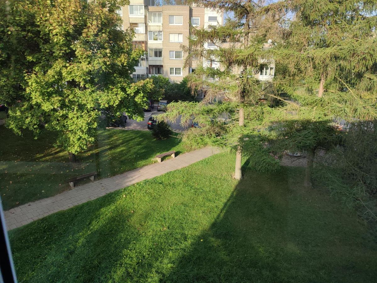 Shortstoppasilaiciai VNO Dış mekan fotoğraf