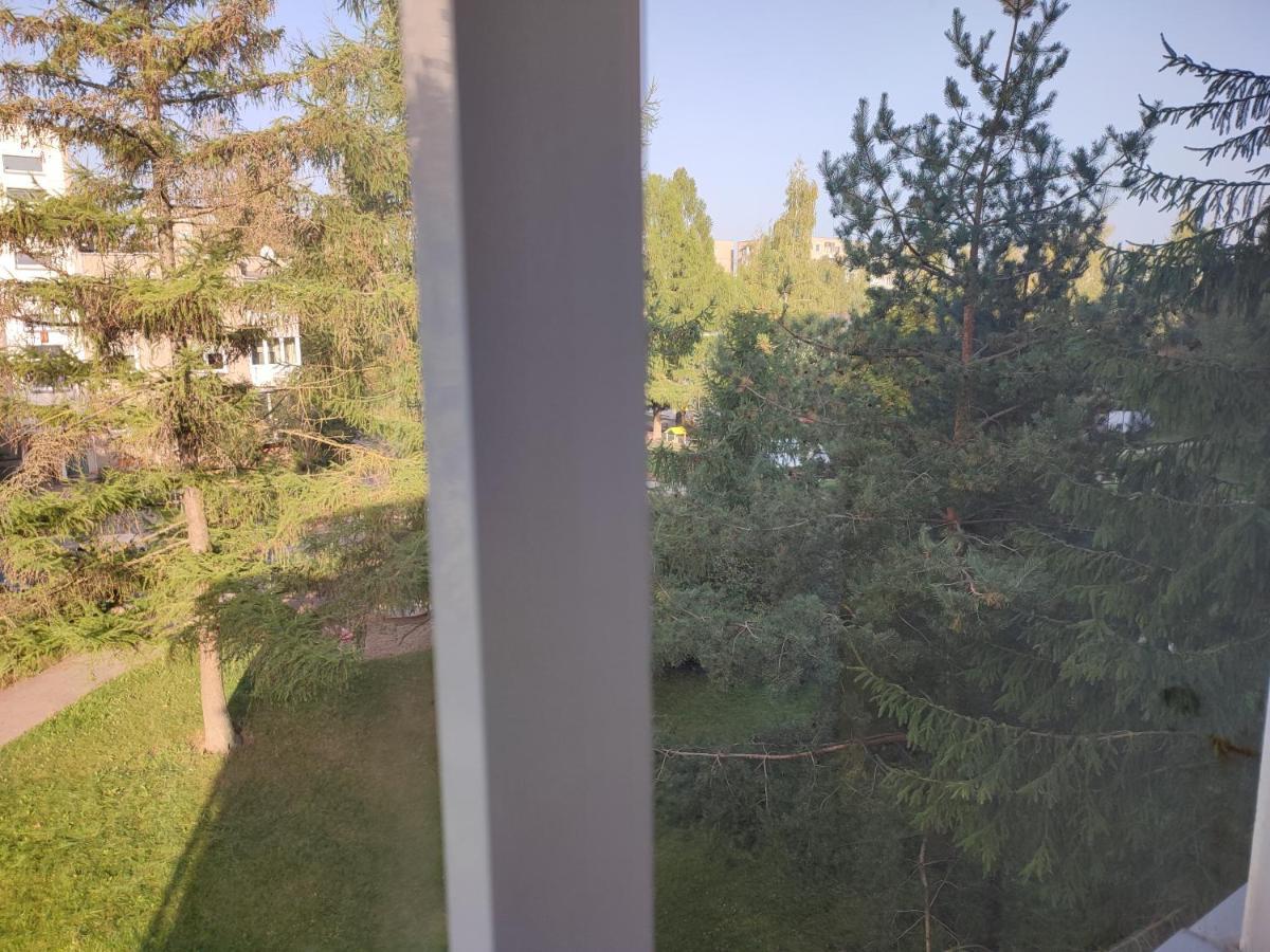 Shortstoppasilaiciai VNO Dış mekan fotoğraf